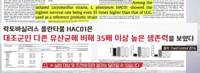 혈당유산균 효능