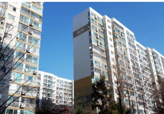 과천주공8단지-아파트가-나무사이로-보인다