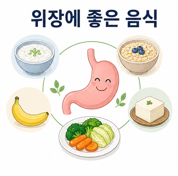 죽과 오트밀, 바나나, 두부와 익힌 채소를 위 아이콘 주변에 배치해 위장에 좋은 음식과 식사 원칙을 설명한 대표 이미지