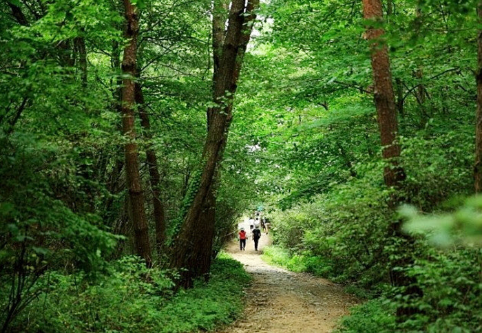 2025 대한민국 숙박세일 페스타, 수안보 온천 관련 사진