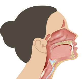 축농증 증상 치료방법 축농증에 좋은 음식 등 총정리(최신)