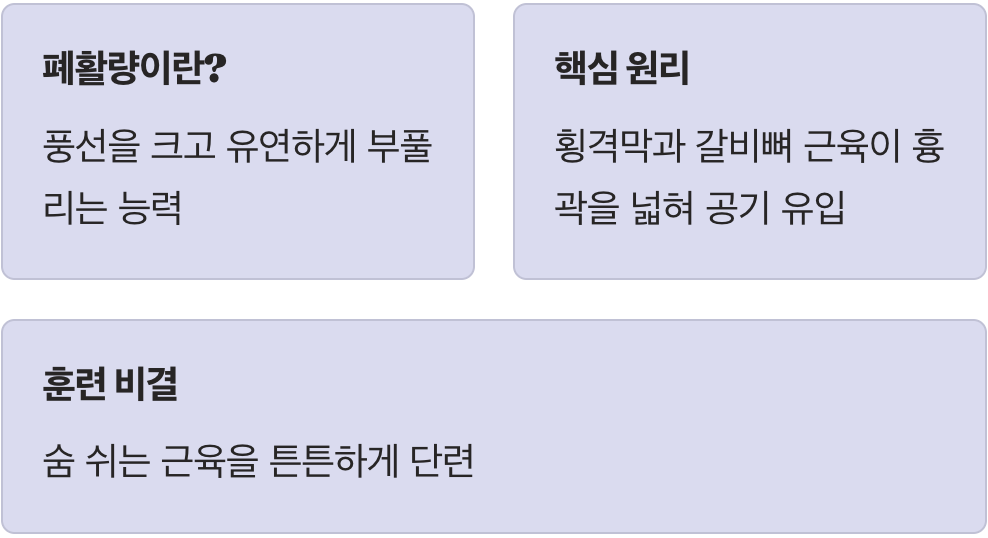 우리 폐는 풍선과 같아요