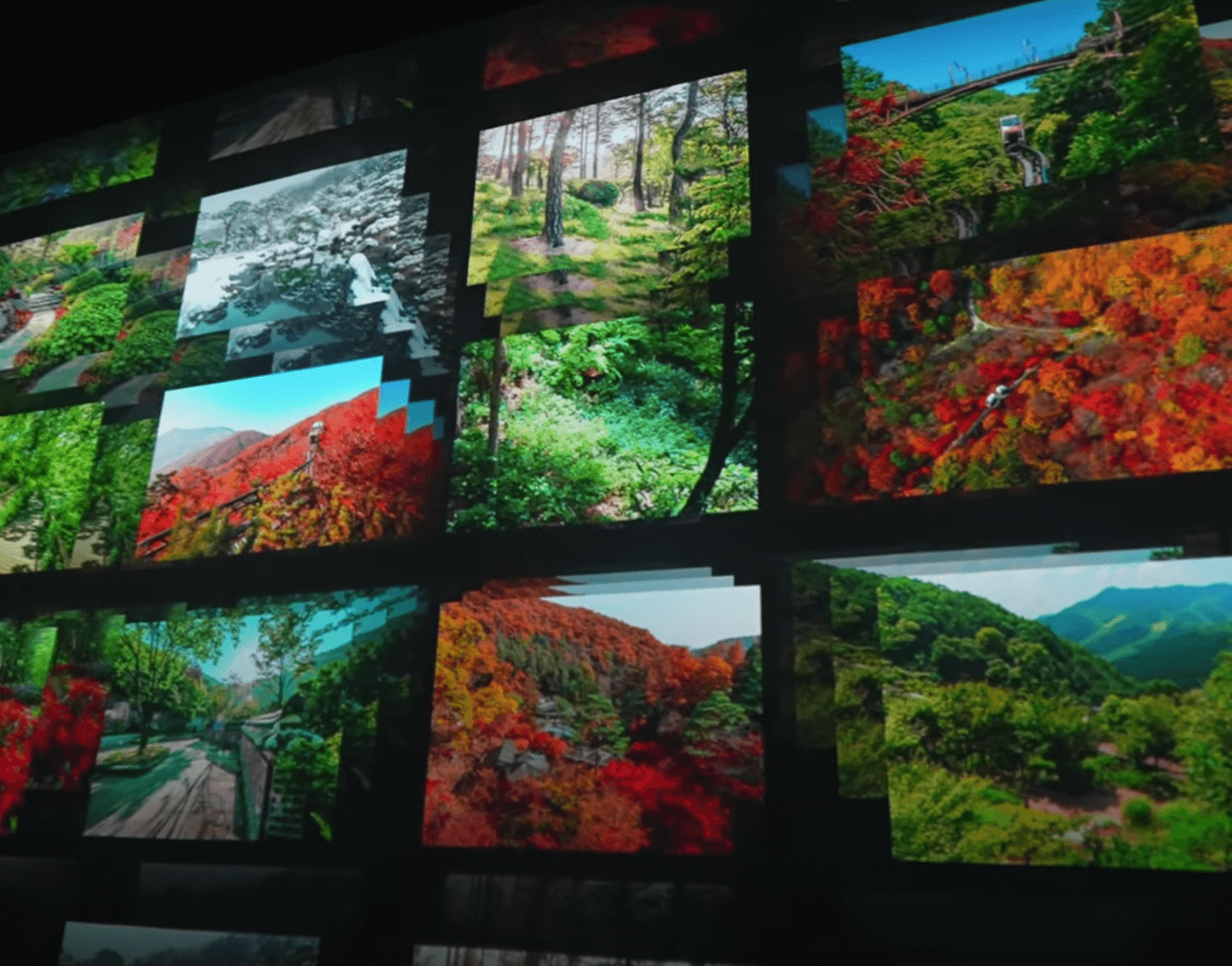 화담숲 예약 시작 입장료 22