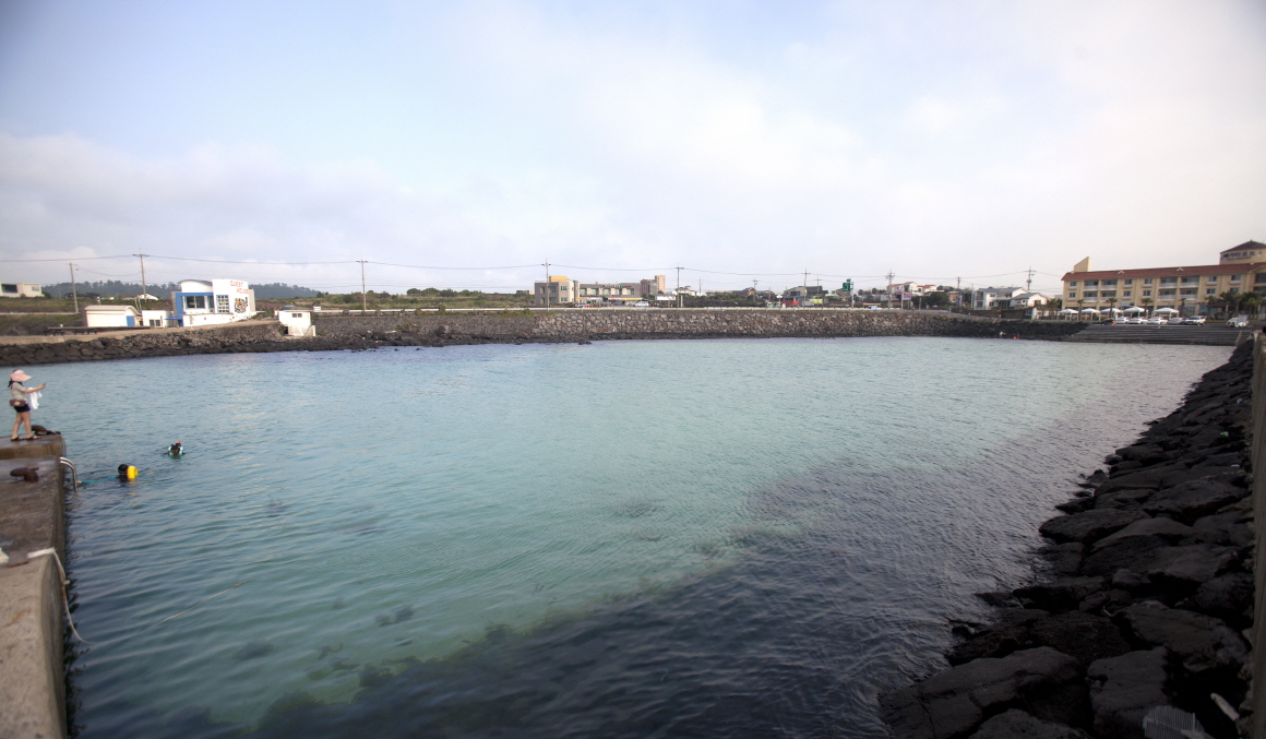 제주도 스노쿨링