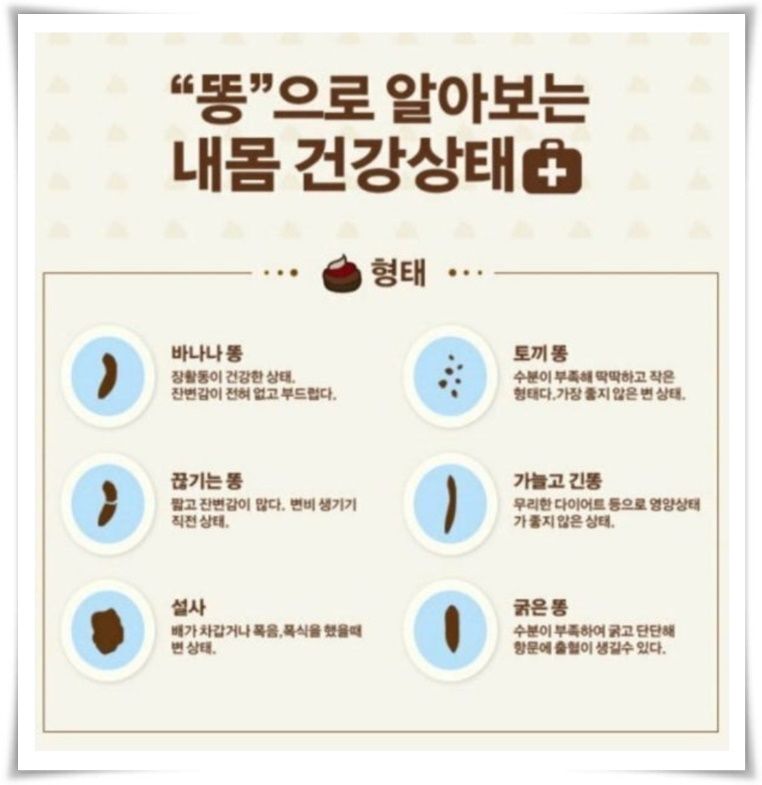 "변 색깔 건강 상태" 몸이 보내는 건강 신호, 건강을 지키는 작은 습관!