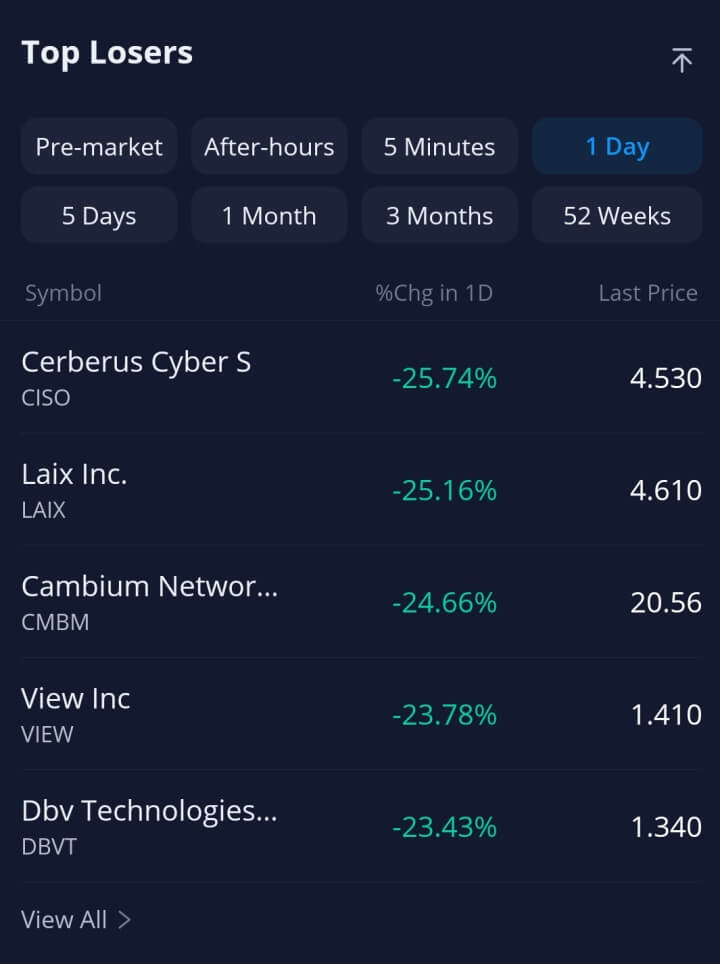 실시간세계증시-webull-toplosers