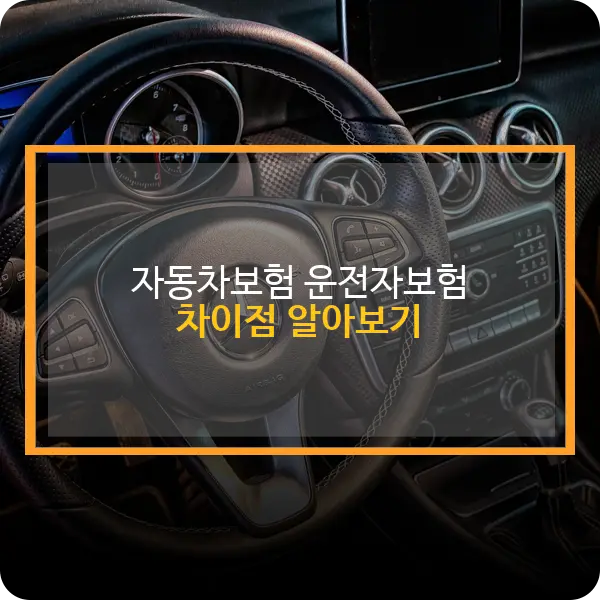 자동차보험