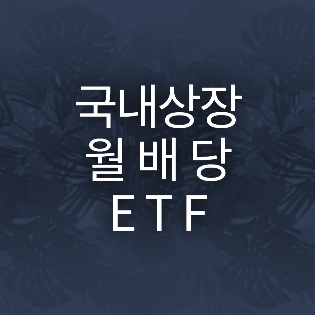 국내상장 월배당 ETF 관련 이미지