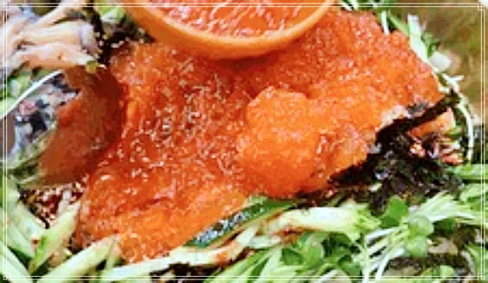 OBS 어서옵쇼 고양, 일산, 화정 물회 맛집