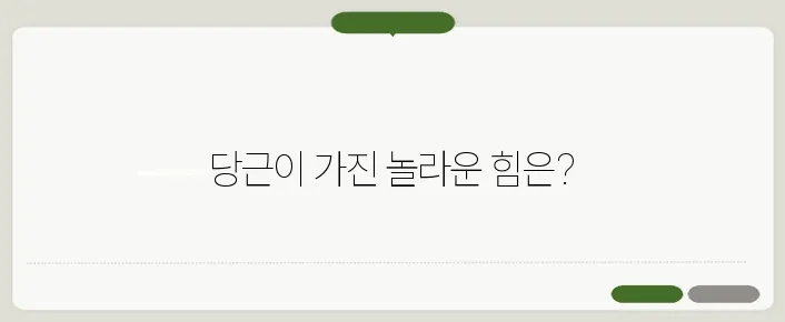 당근효능!? 베타카로틴의 힘 : 당뇨/탈모/피부