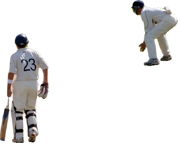 Meta SAM(Segment Anything Model) 성능