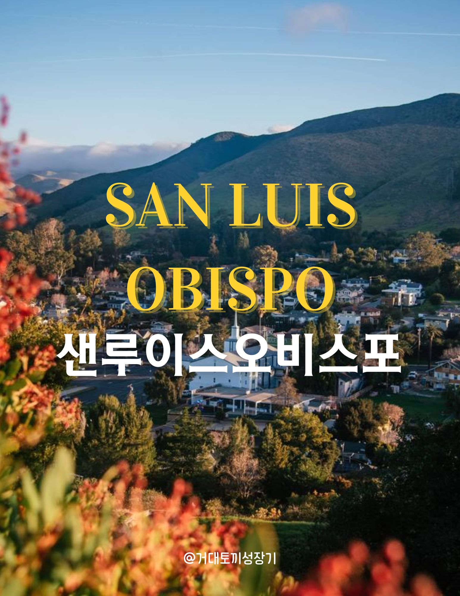 샌루이스오비스포 포스터