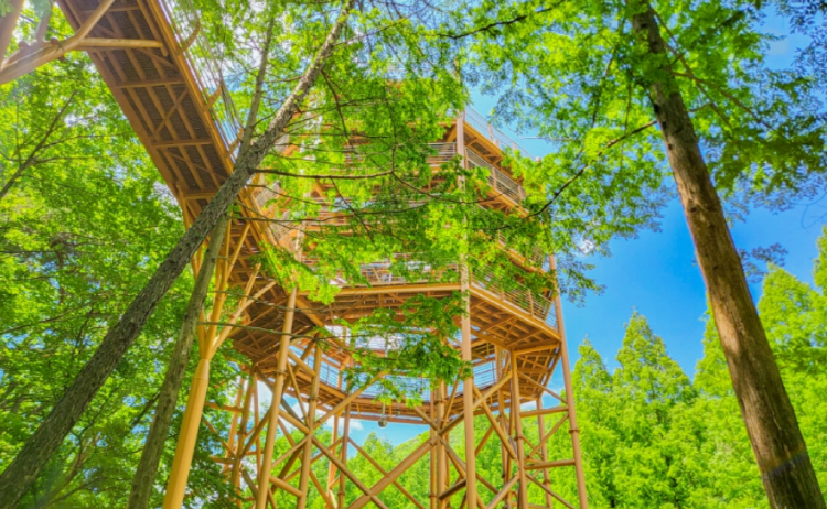 장태산 자연휴양림