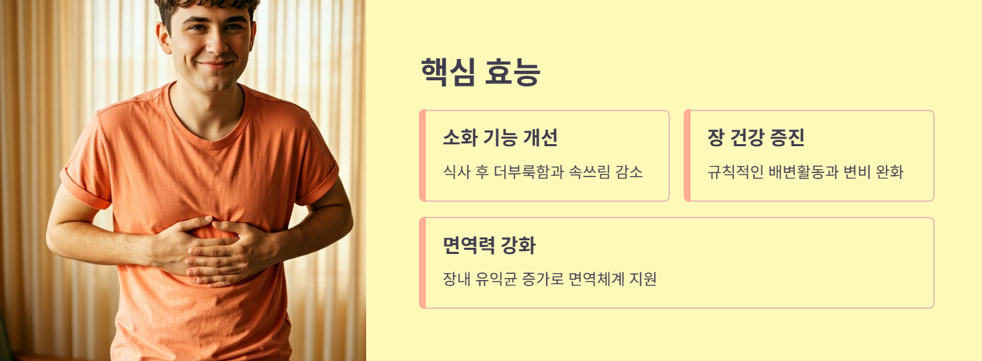 파로곡물효소의 장기 복용 효과