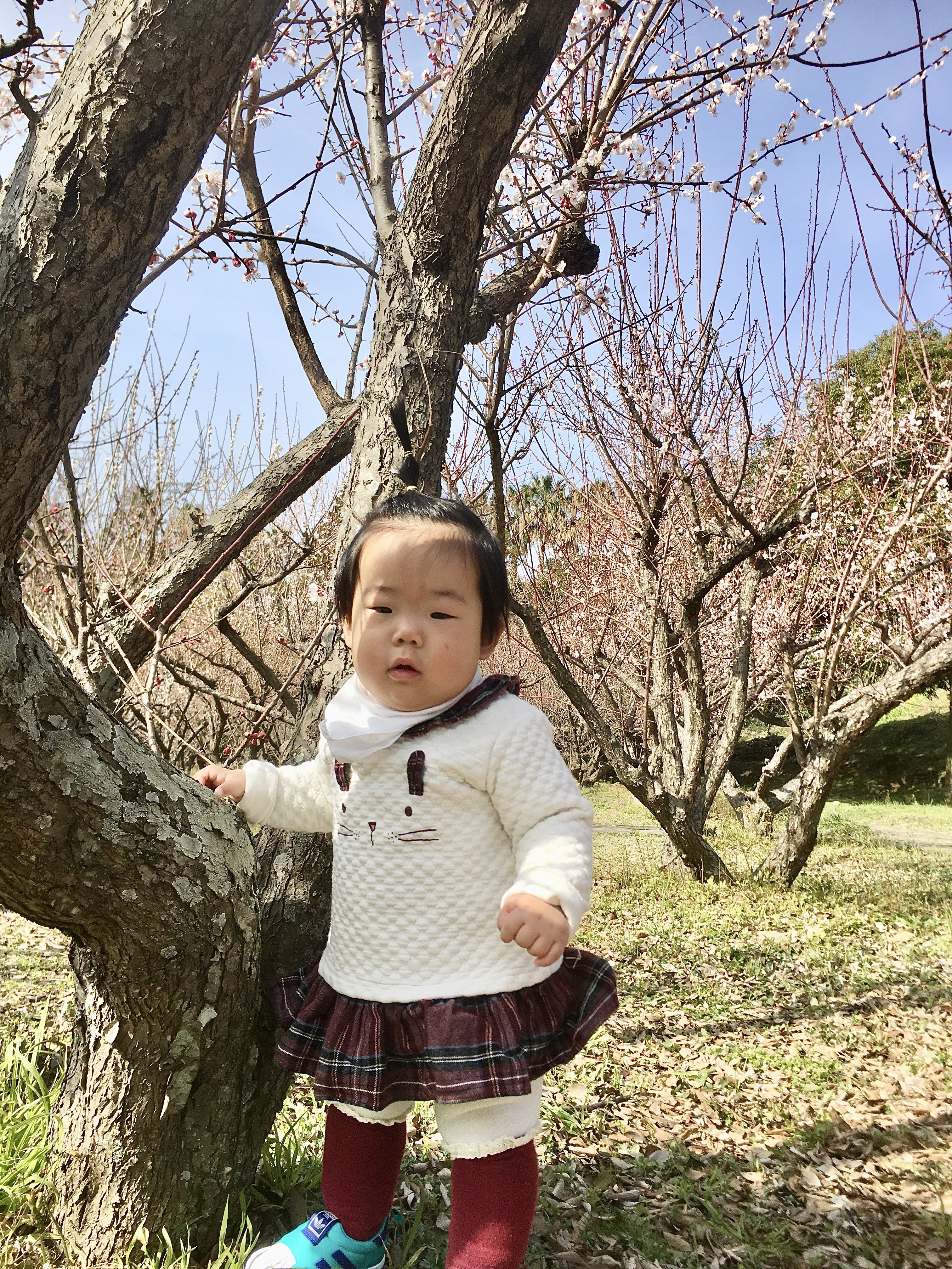 매화나무 앞에 서 있는 지아