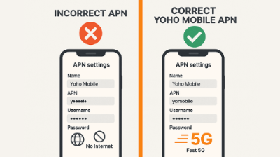 일본-eSIM-데이터-APN-오류-해결