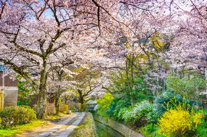 철학자의 길 Philosopher's Path
