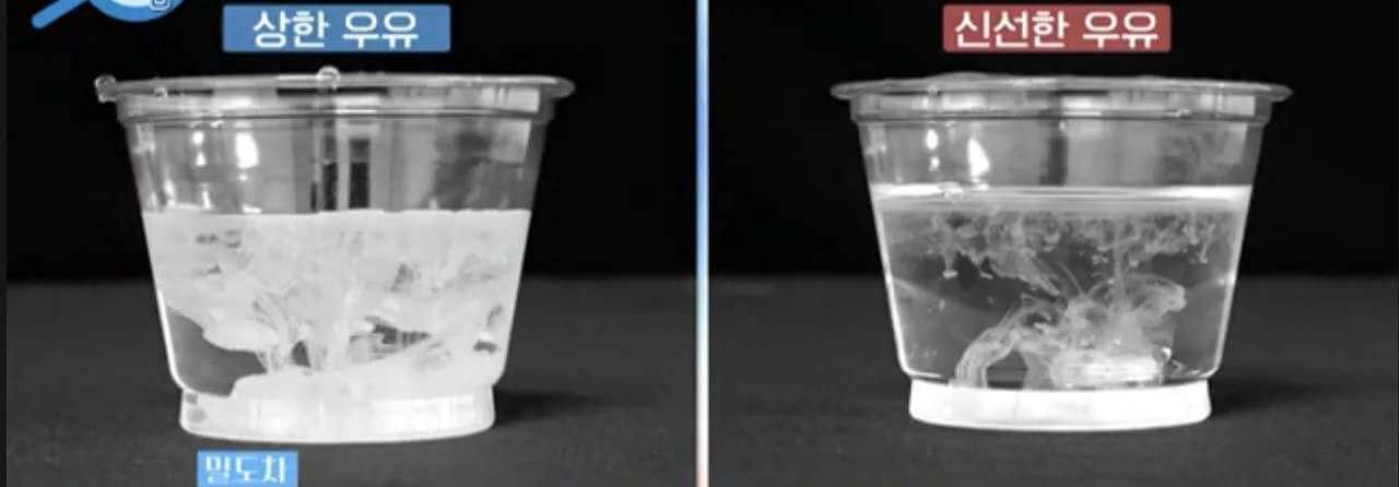 유통기한 지난 우유&amp;#44; 섭취 기준 및 활용법