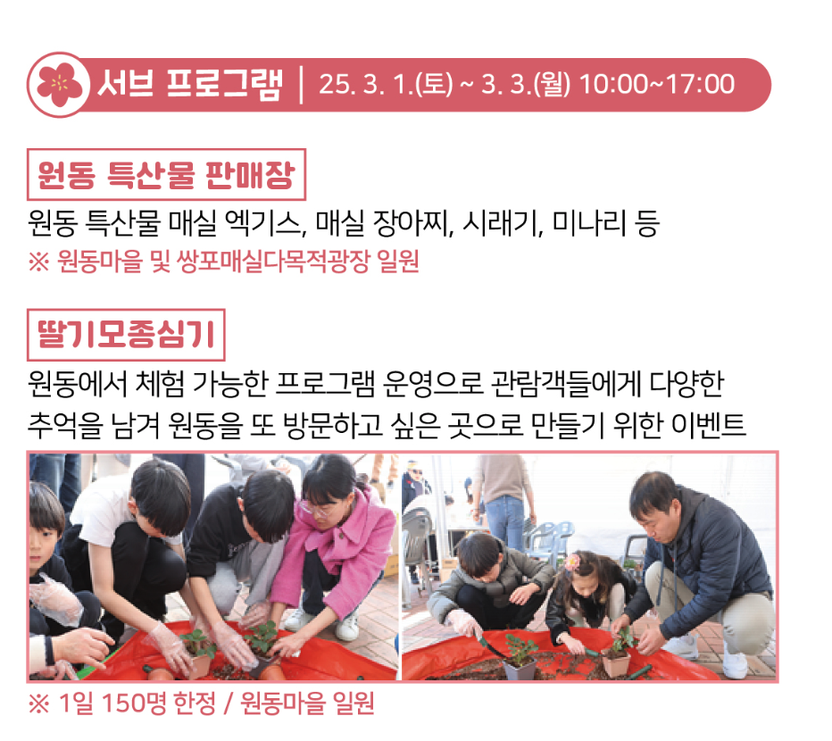 2025 원동 매화축제 일정, 프로그램, 주차, 맛집 등 5분 총정리