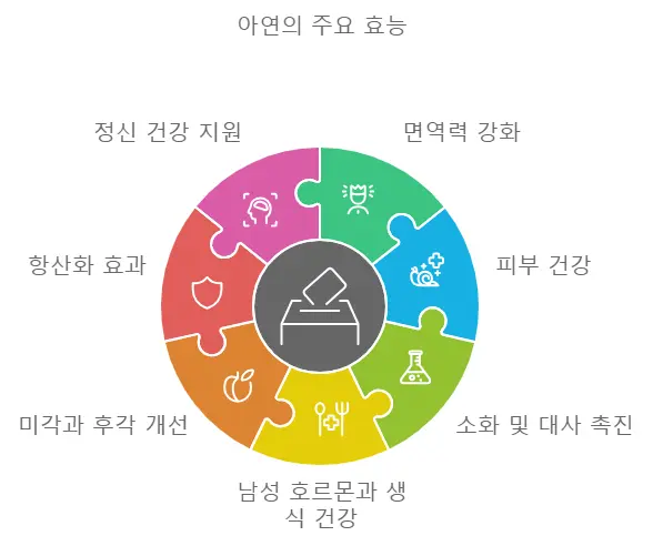 아연주요효능