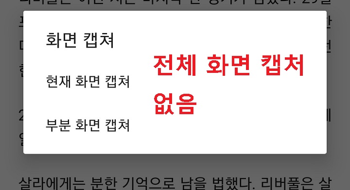 화면 캡처 메뉴에 현재화면캡처와 부분화면 캡처만 있음