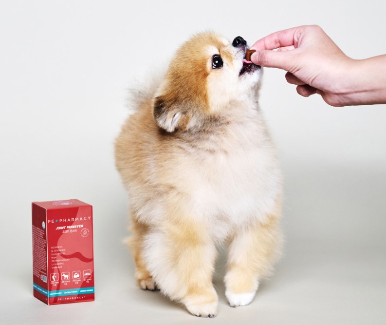 강아지 관절 영양제 추천