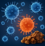 프로폴리스 효능