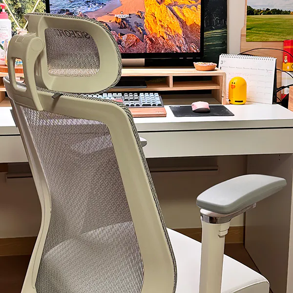 사오체-프리미엄