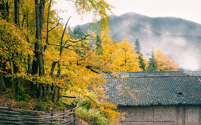 2025년 입추 날짜와 의미 날씨 특징