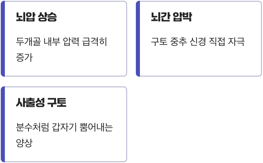 이유 없는 구역질과 반복되는 구토