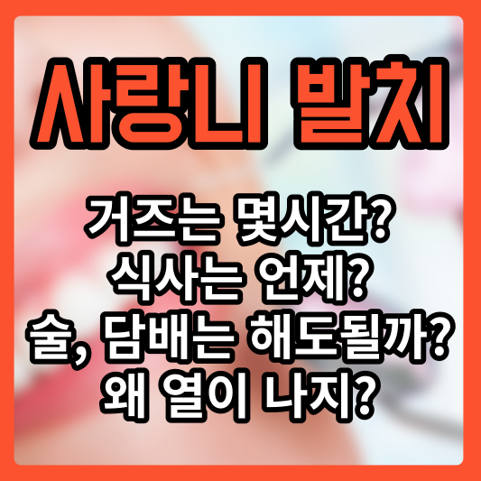 사랑치 발치
