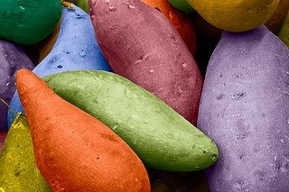 근육량 늘리는 방법