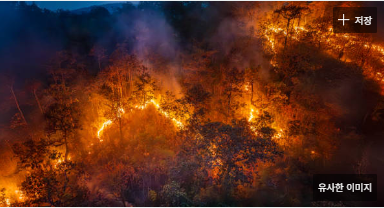 실시간 산불정보 확인