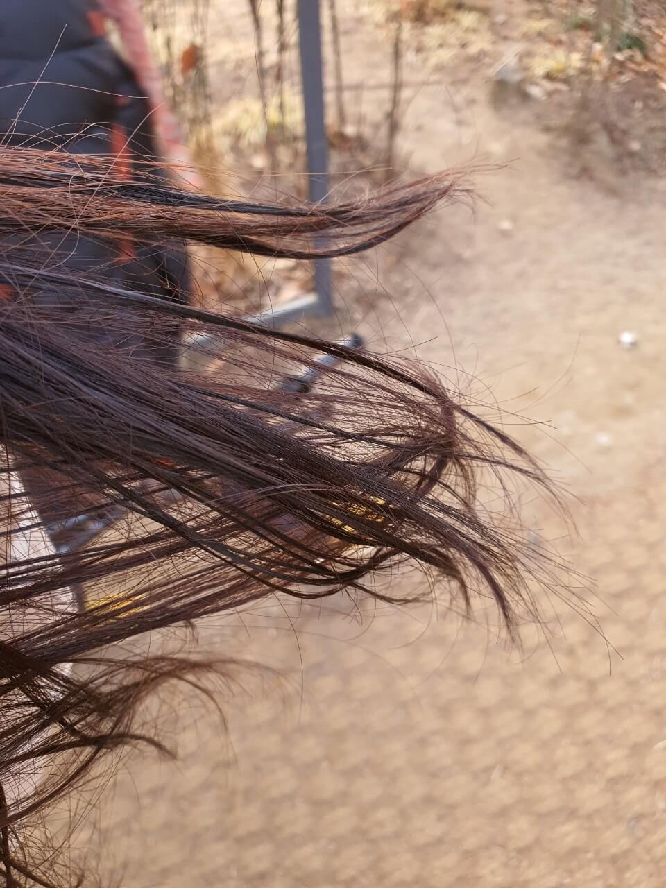 얼어버린 머리카락