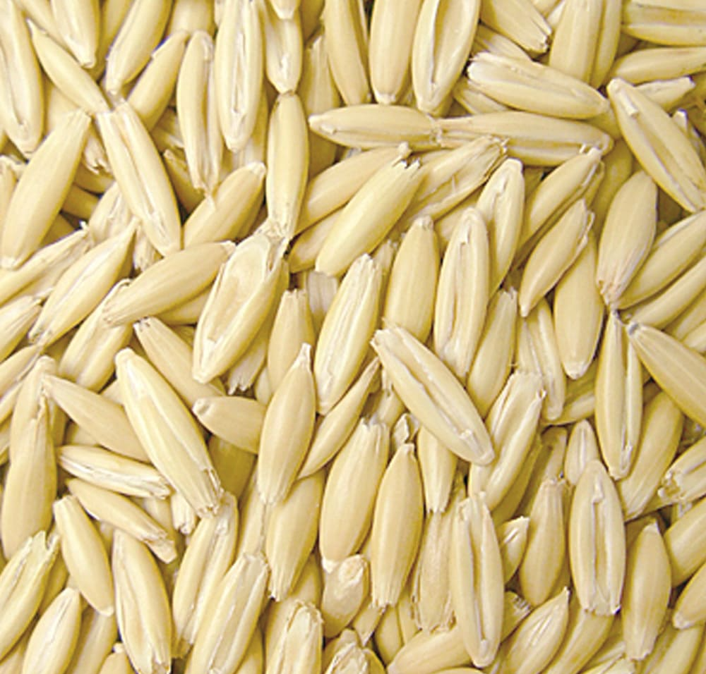 단백질 많은 음식