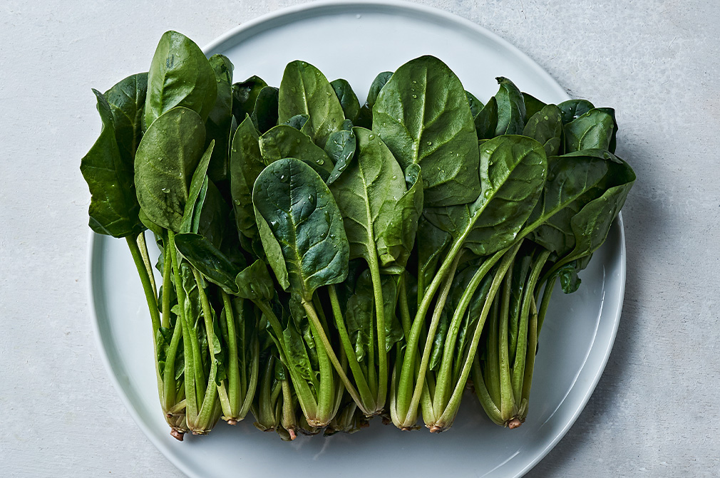 어린이부터 노인까지 모든 연령층에서 필수적으로 섭취해야 할 식품입니다.