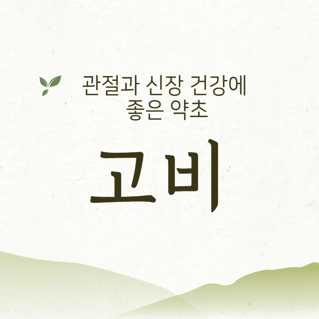 관절과 신장에 좋은 고비
