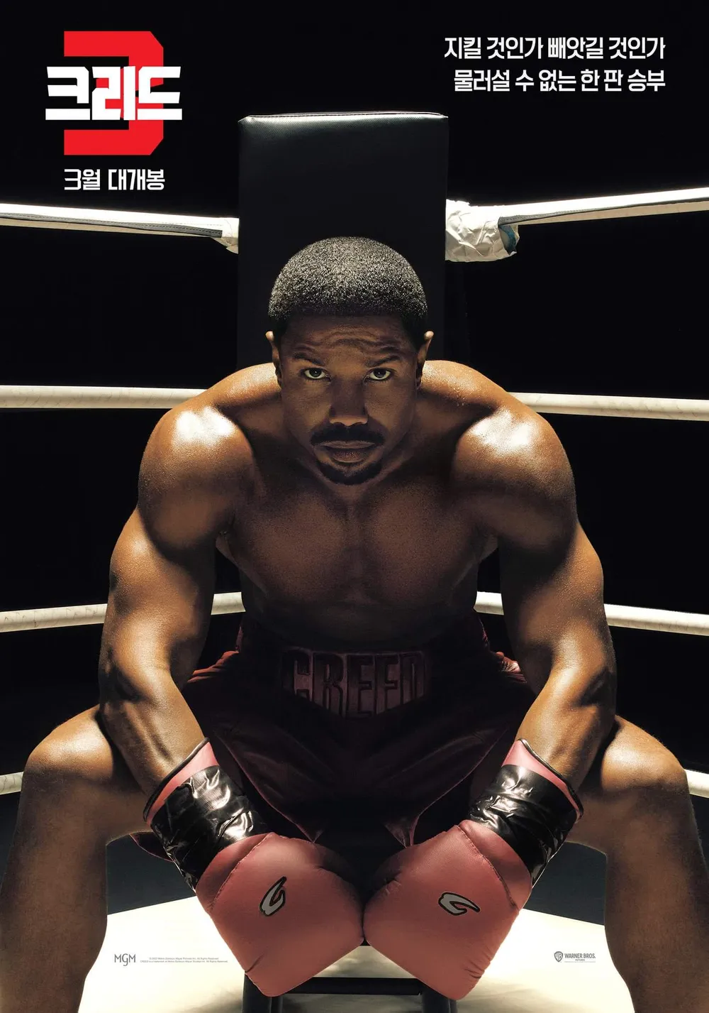 영화 "크리드 3" 관련 사진