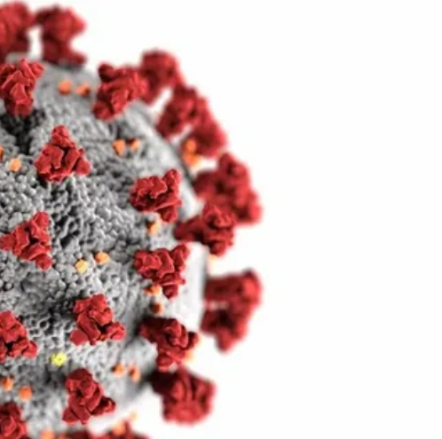 현재 코로나19 확진자 수