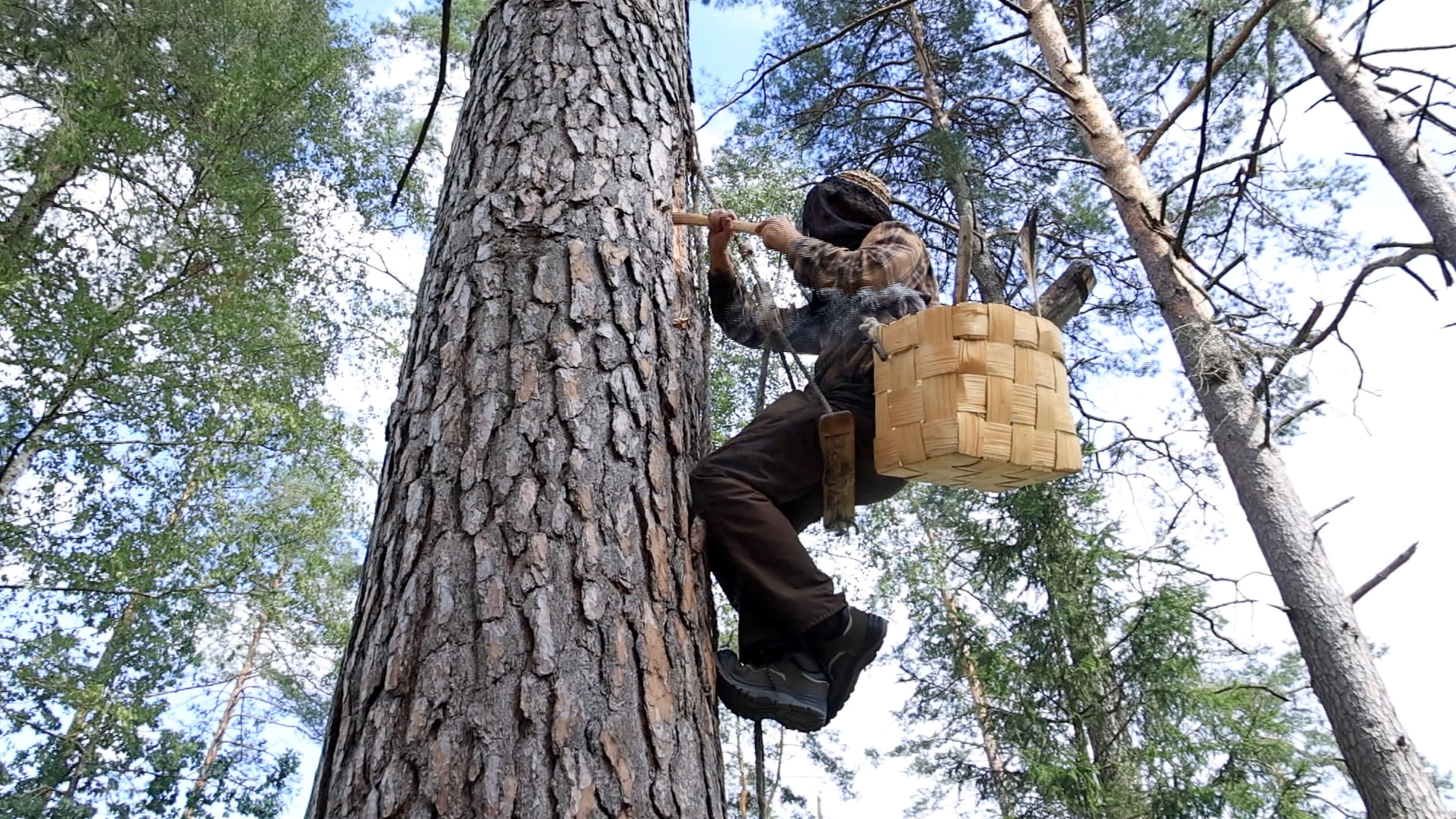 세계테마기행 박칼린
