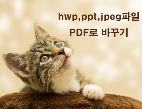 hwp파일 pdf로 바꾸기