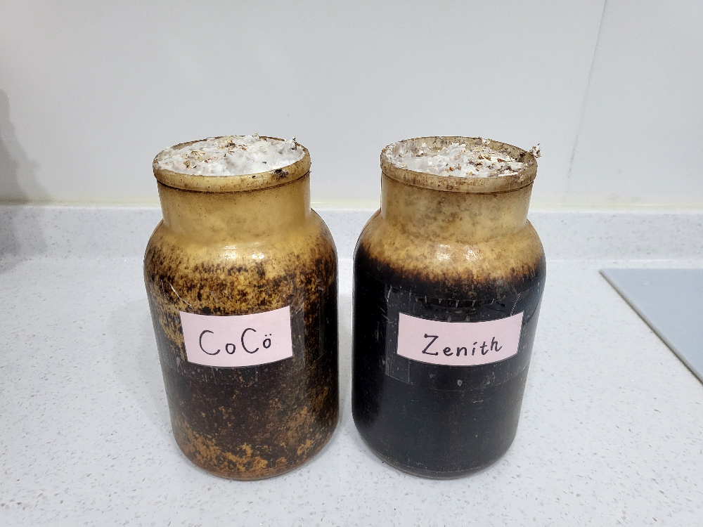 느타리버섯 키우기 키트