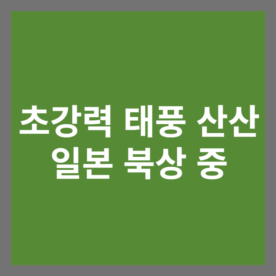 일본 초강력 태풍 산산 북상 중