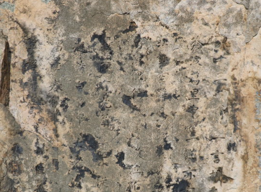 우암 송시열 글쓴바위