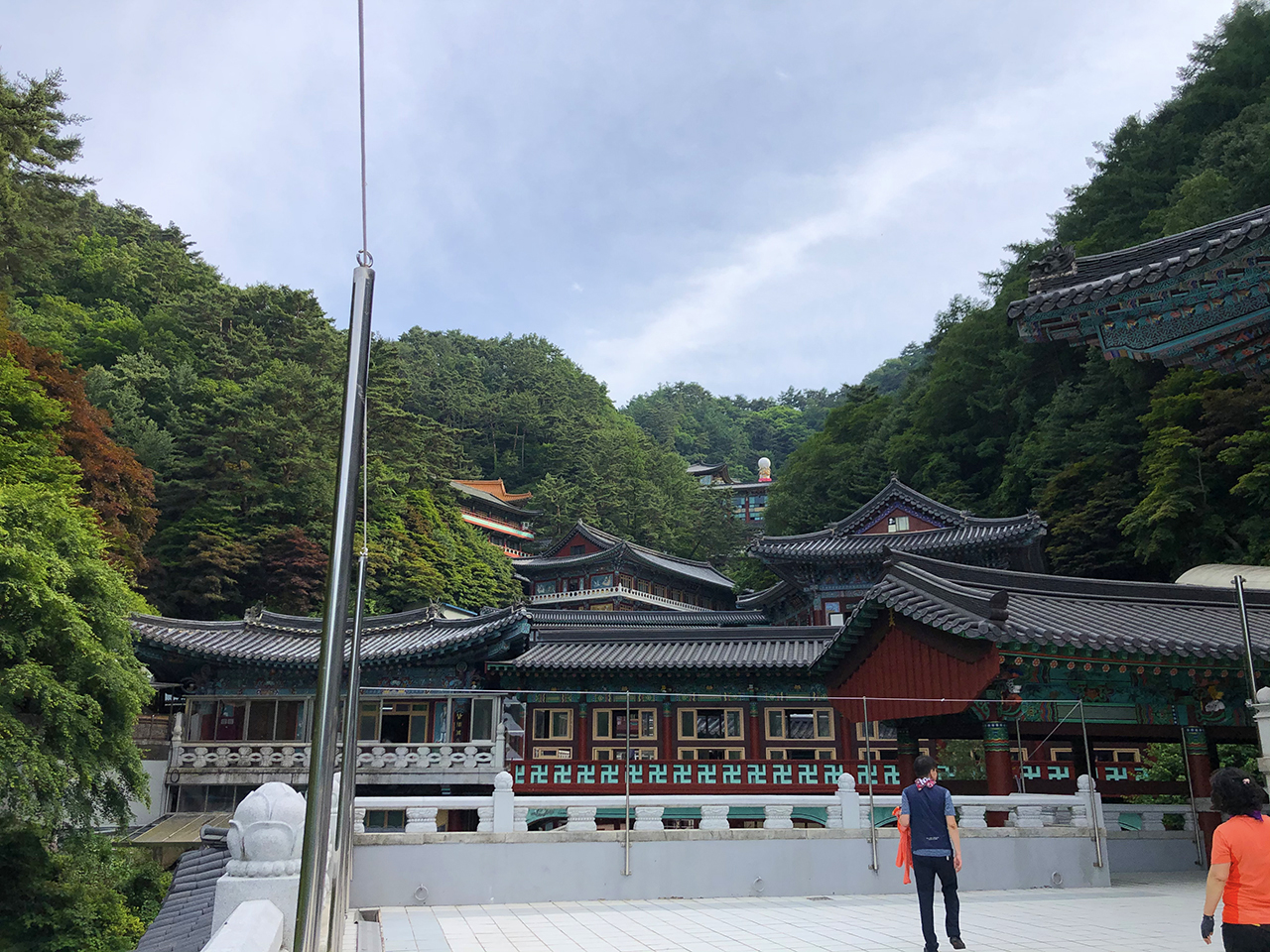 대법당 5층