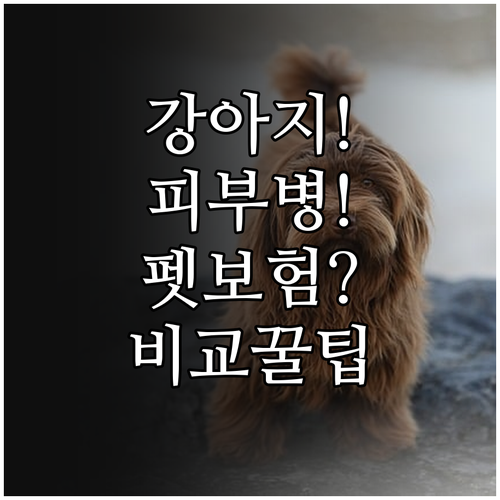 메리츠 KB 현대해상, 강아지 피부병..