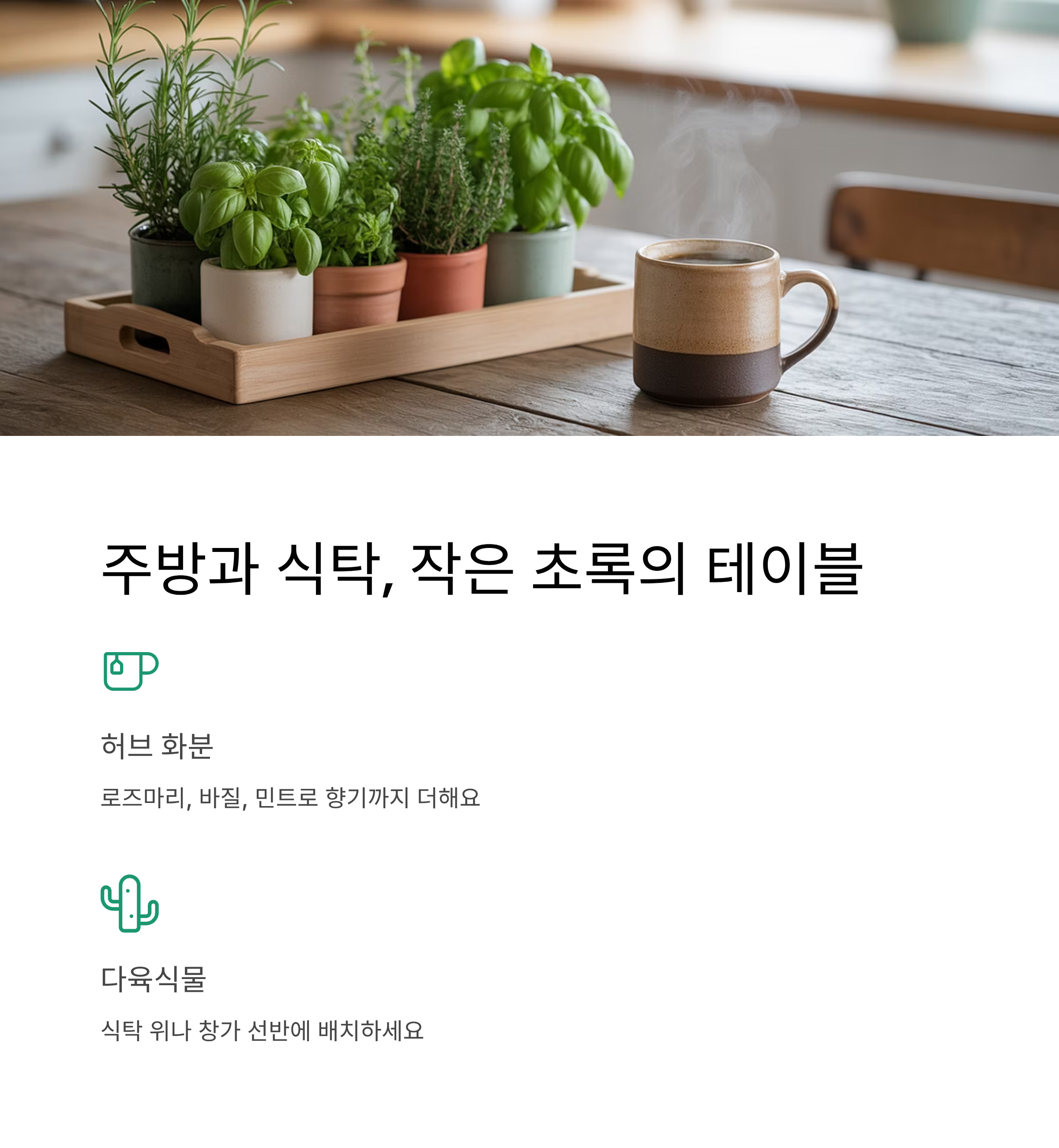 주방과 식탁 작은 초록의 테이블