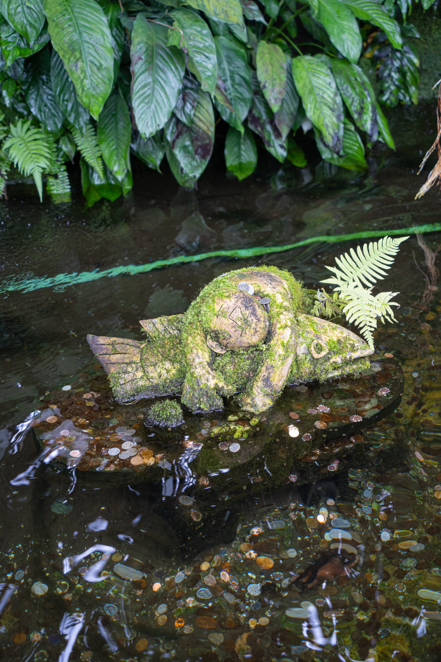 여미지 식물원 물의정원