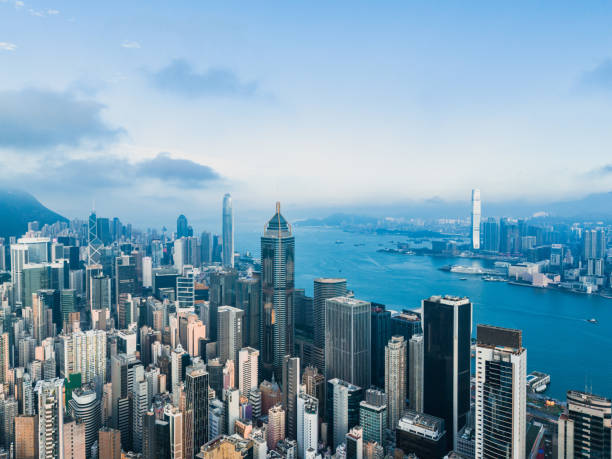 홍콩에서 꼭 먹어야 할 음식 BEST 7