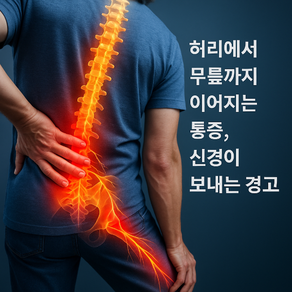 허리 통증인데 무릎까지? 척추&middot;관절 통증 동시 발생 이유